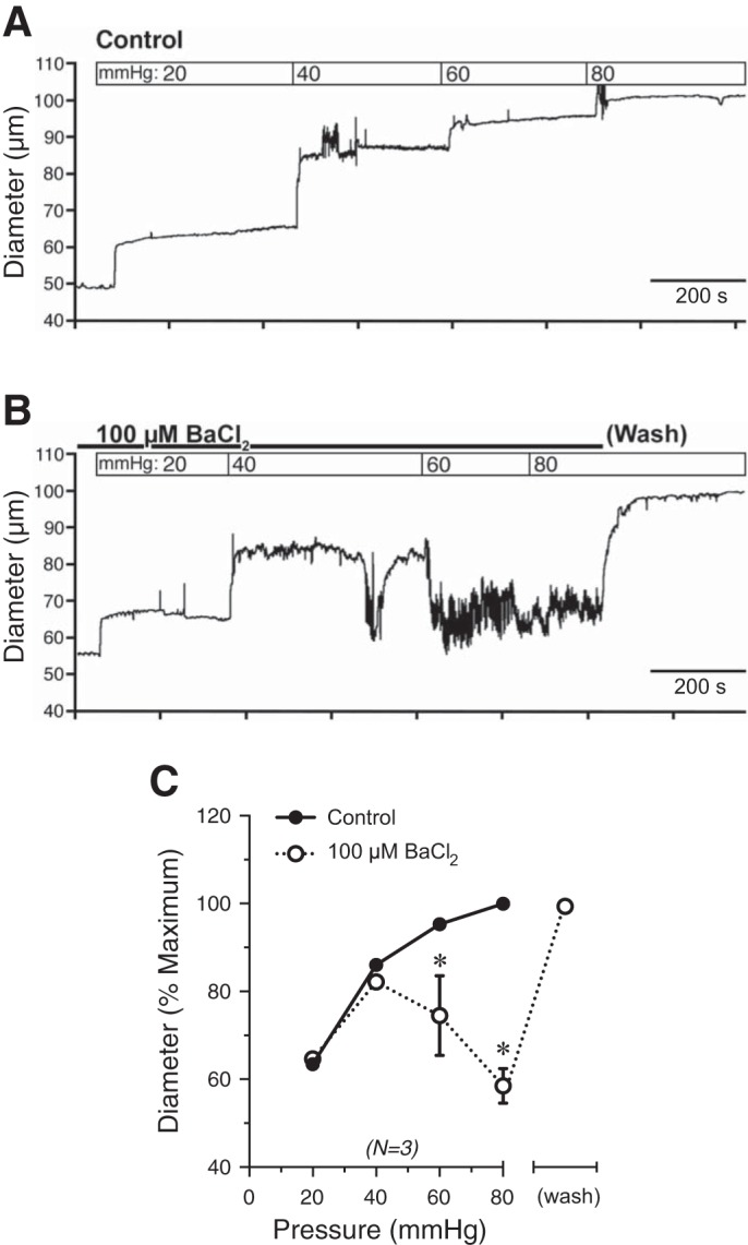 Fig. 8.