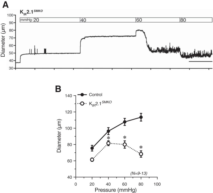 Fig. 10.