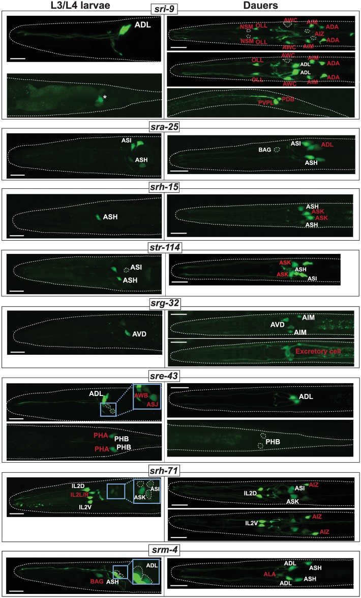 Fig 10