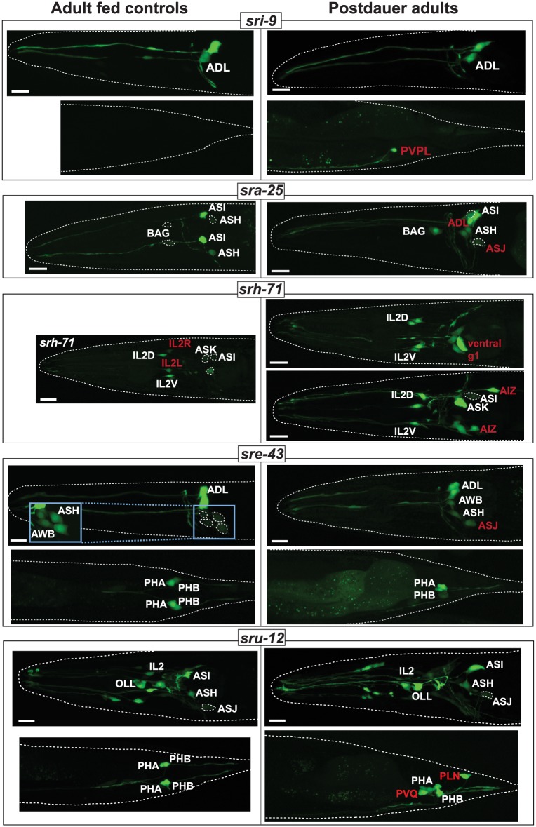 Fig 11