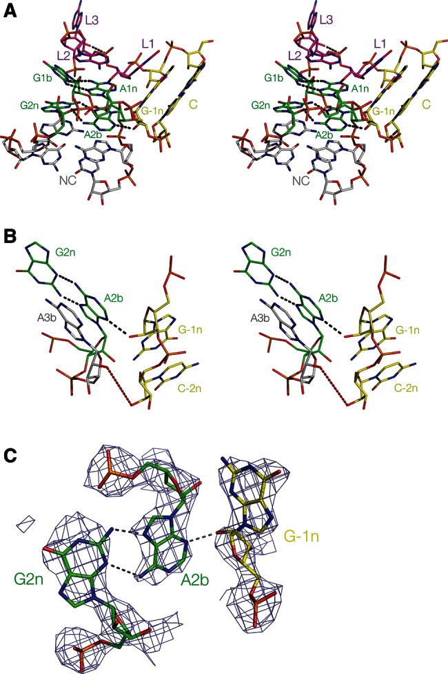 FIGURE 4.