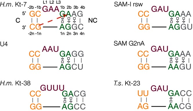 FIGURE 1.