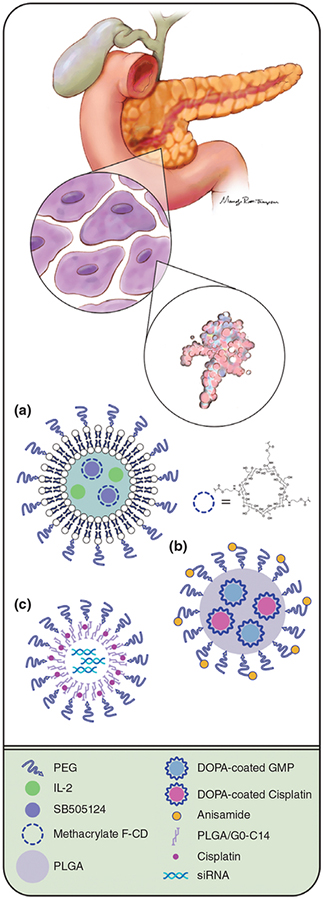 FIGURE 1 |