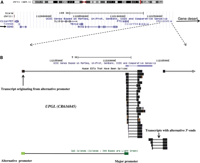 Figure 1.