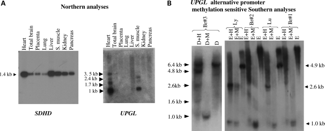 Figure 2.