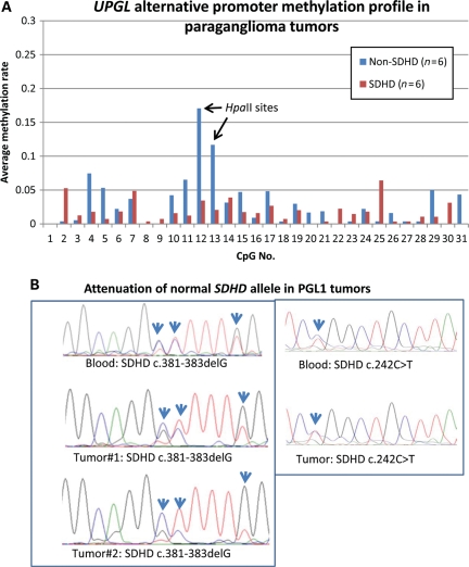 Figure 4.