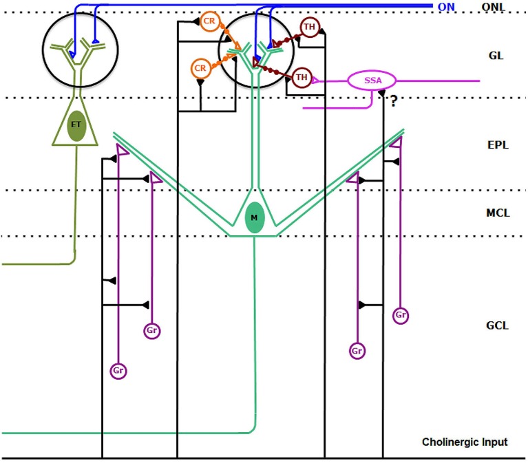 Figure 10