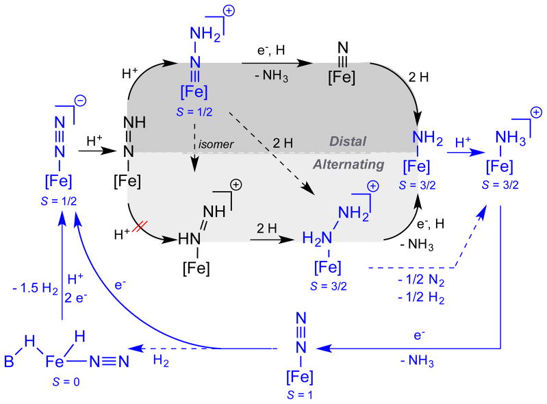 Scheme 3