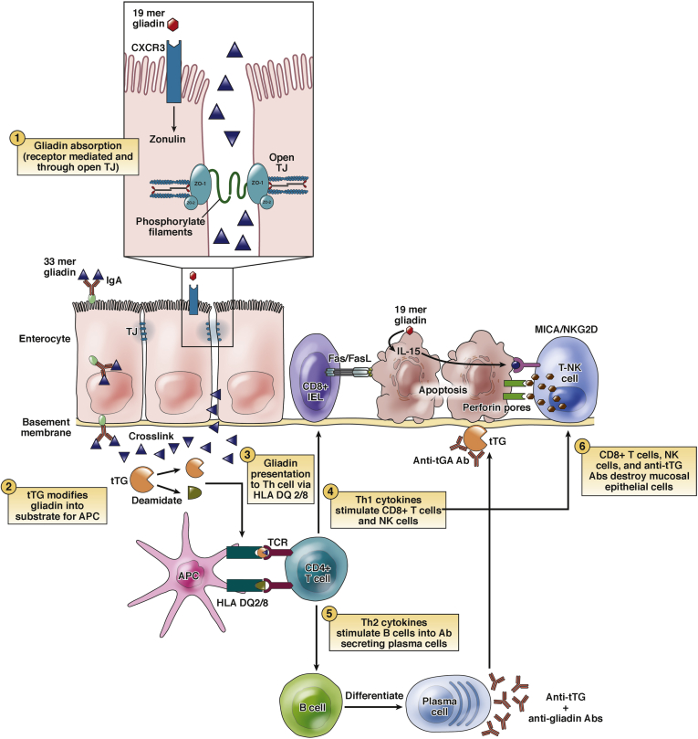 Figure 1