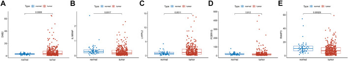 FIGURE 10