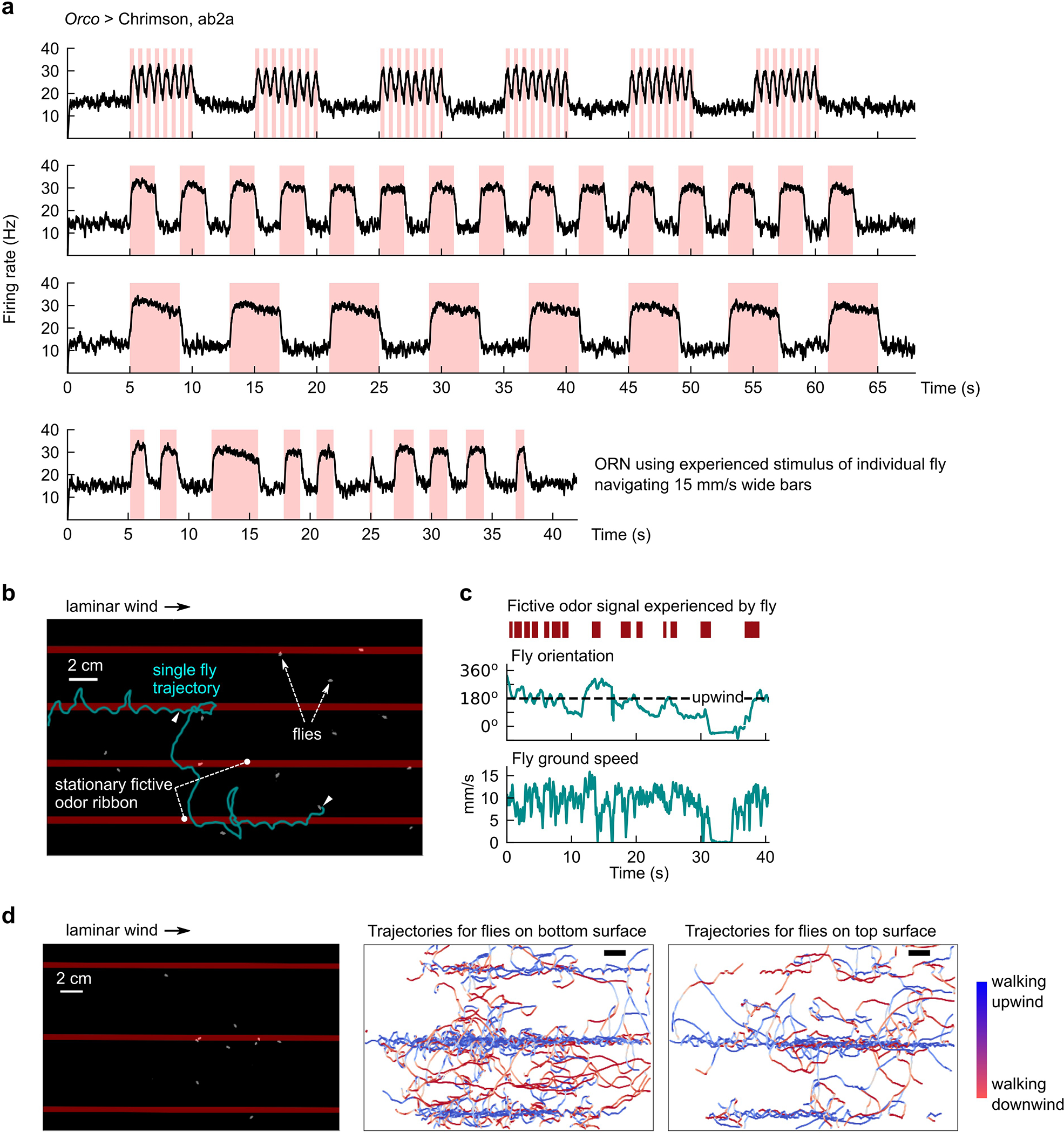 Extended Data Fig. 2.