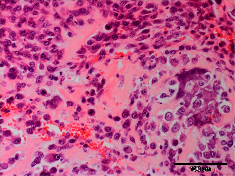Fig 2
