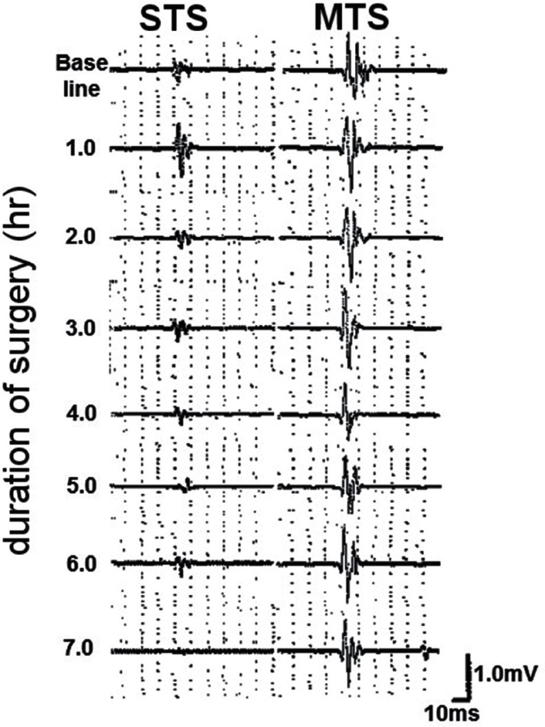 Fig. 3.