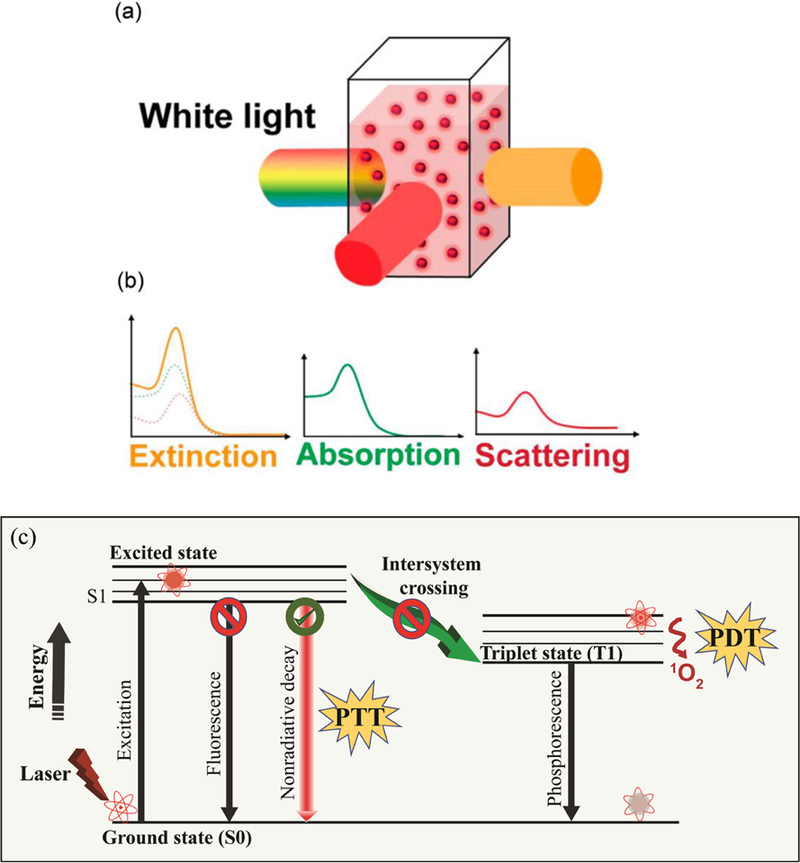 Figure 10.