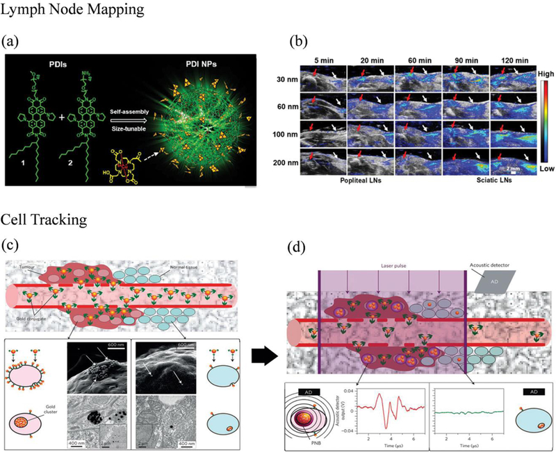 Figure 22: