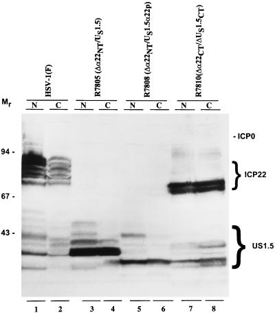 FIG. 10