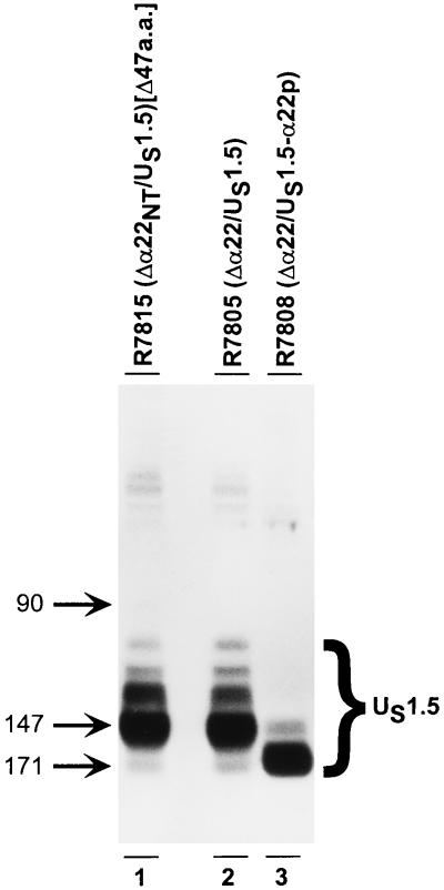 FIG. 8