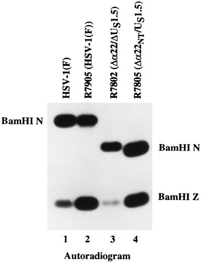 FIG. 3