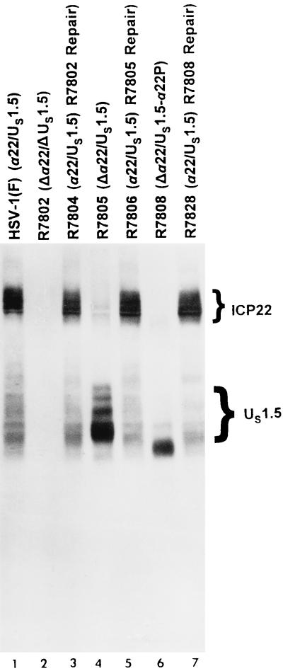 FIG. 6