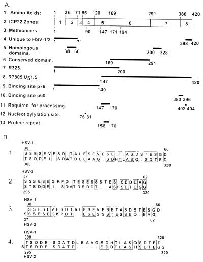 FIG. 12