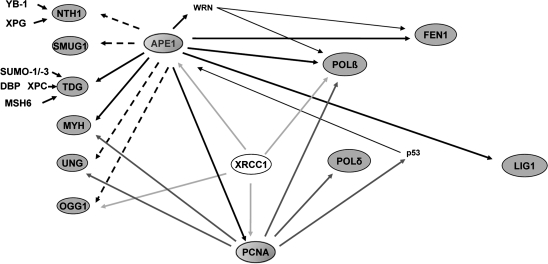 FIG. 2.