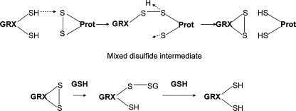 FIG. 5.