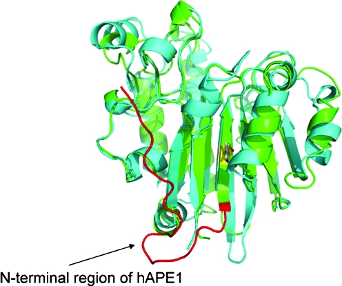 FIG. 7.