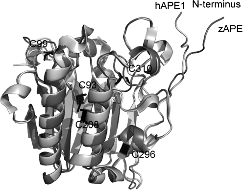 FIG. 9.