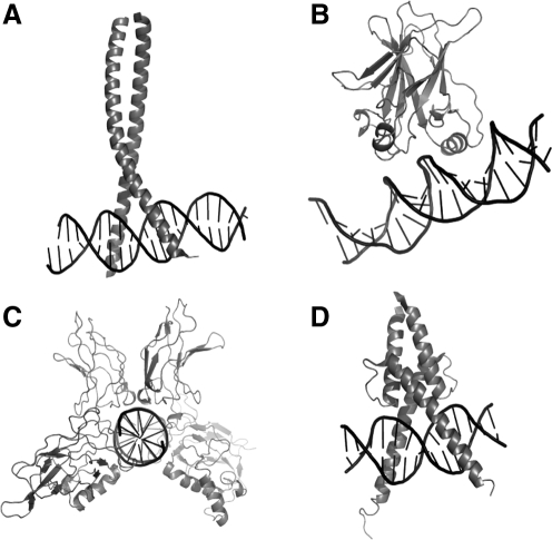 FIG. 12.