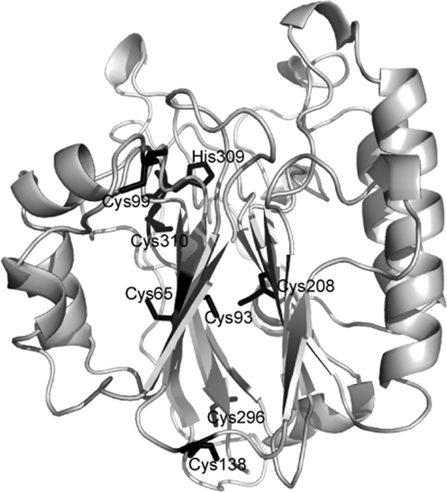 FIG. 10.