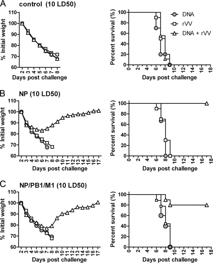 FIG 6