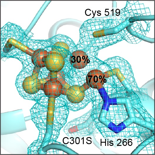 Figure 5.