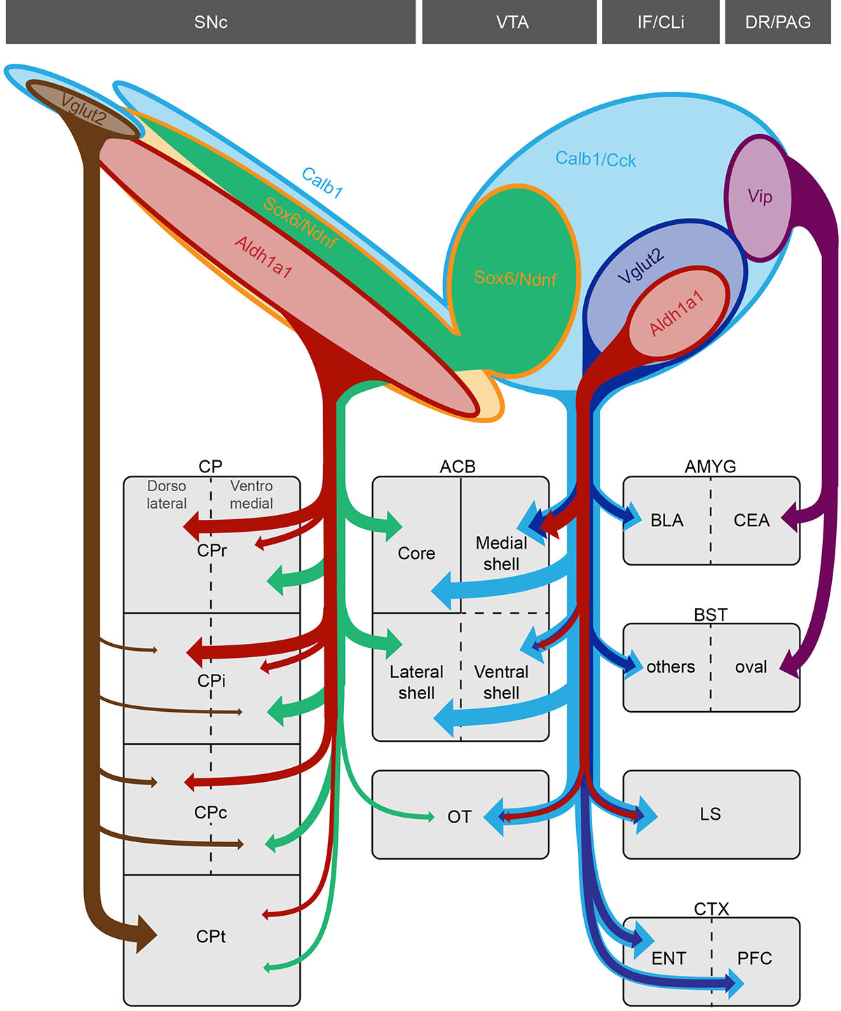 Figure 7.