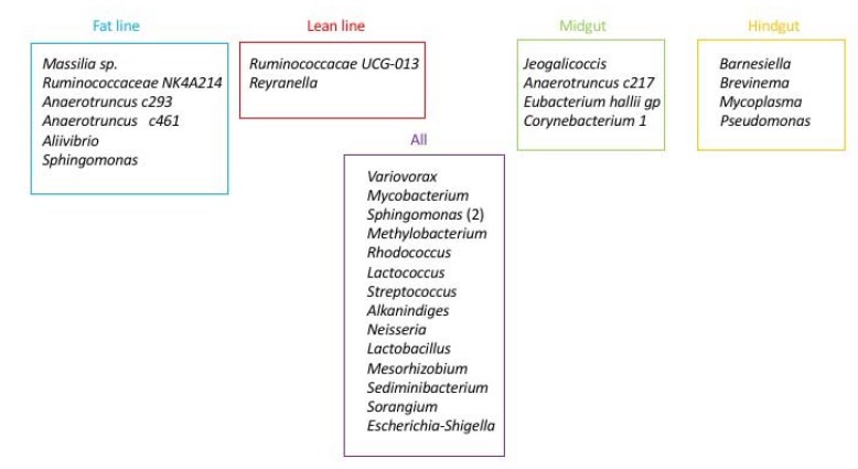 Fig. (4)