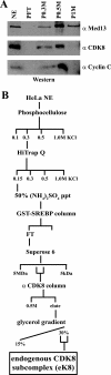 FIG. 6.