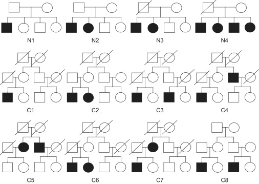 Figure 1