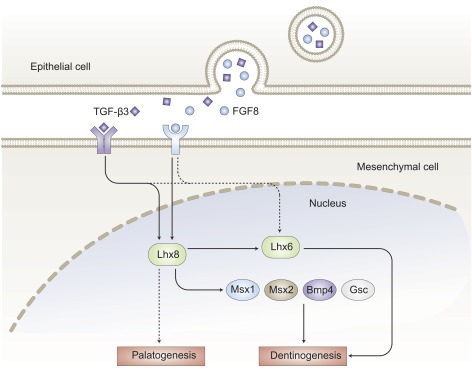 Figure 4.