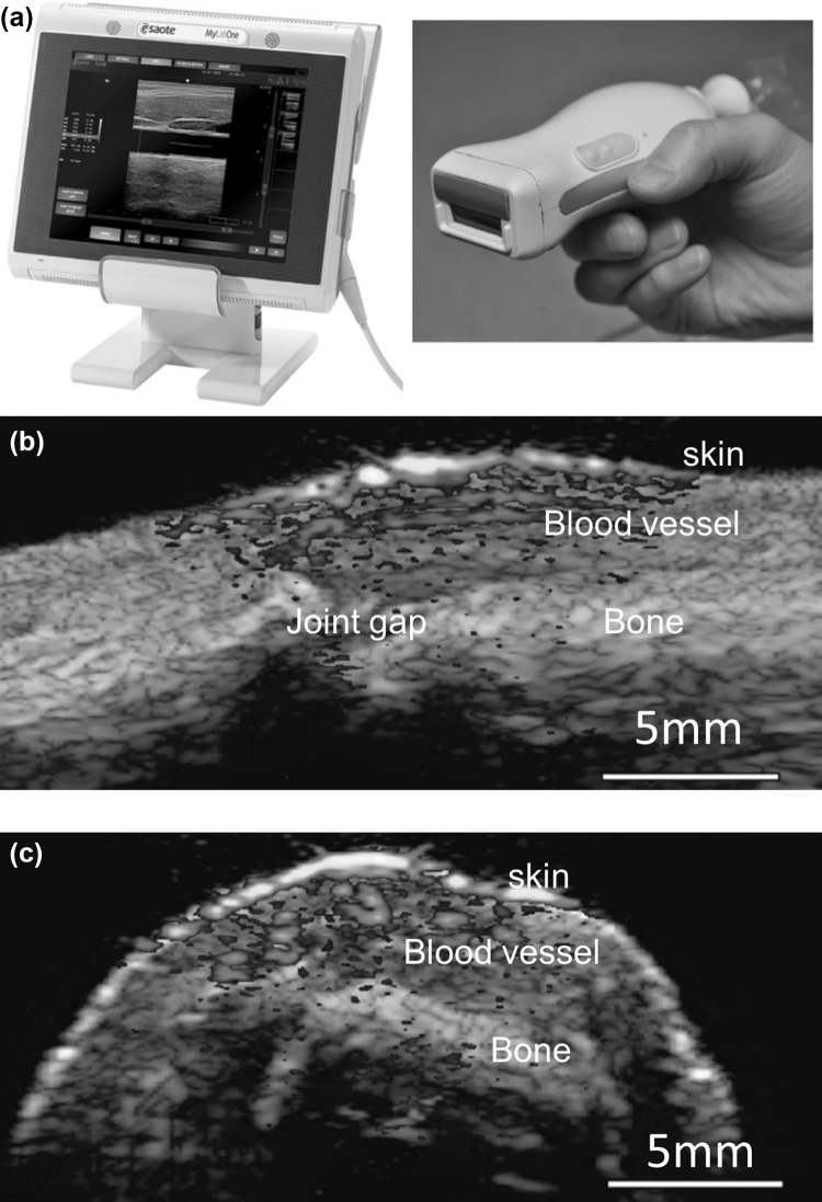 Fig. 8