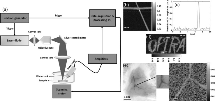 Fig. 6