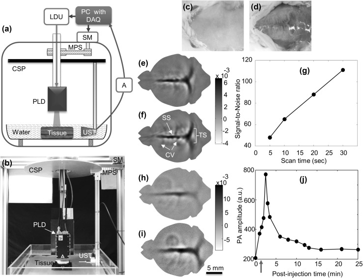 Fig. 4