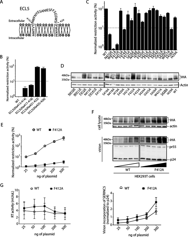 FIG 2