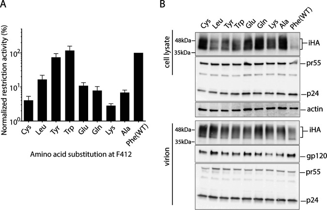 FIG 4