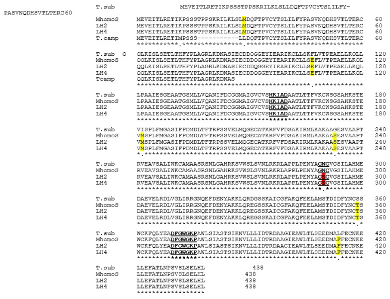 Figure 2