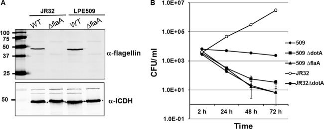 Fig 5