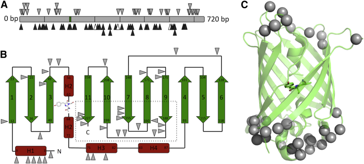 Figure 1