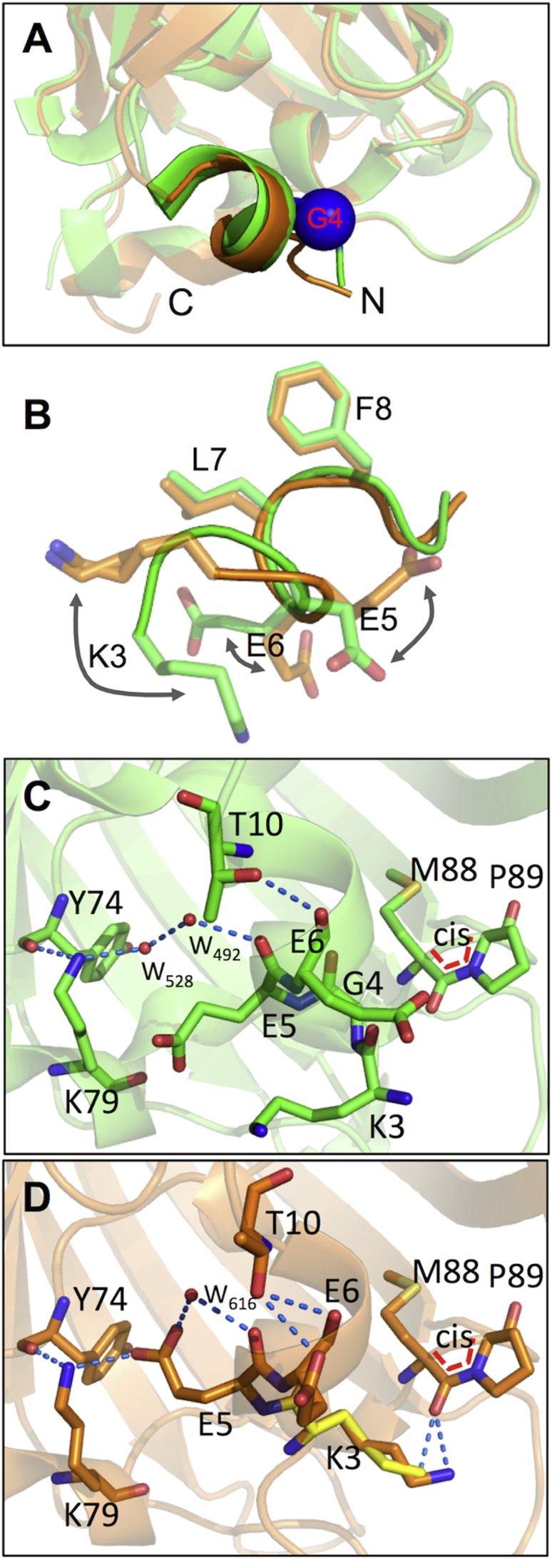 Figure 5