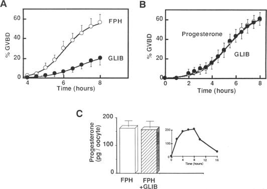 graphic file with name pnas01085-0364-a.jpg