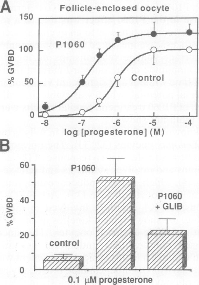 graphic file with name pnas01085-0365-a.jpg