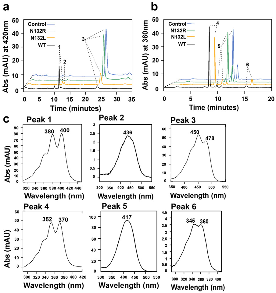 Figure 6.