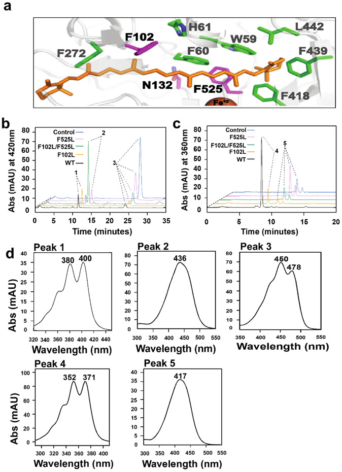 Figure 5.